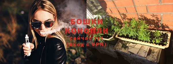 гидра Анива