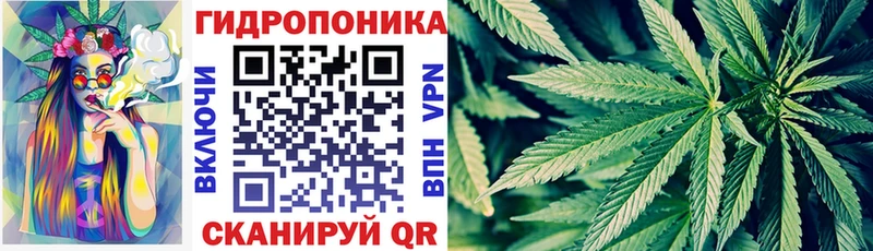 как найти наркотики  Голицыно  Конопля план 